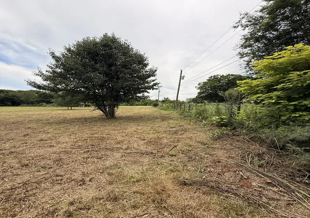 Photo 2 of Land for sale at 0 Willow Garden Circle, Talbott, TN 37877 | MLS# 3520505 | Listing updated on 2026-09-24