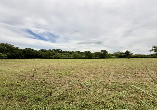 Photo 3 of Land for sale at 0 Willow Garden Circle, Talbott, TN 37877 | MLS# 3520505 | Listing updated on 2026-09-24