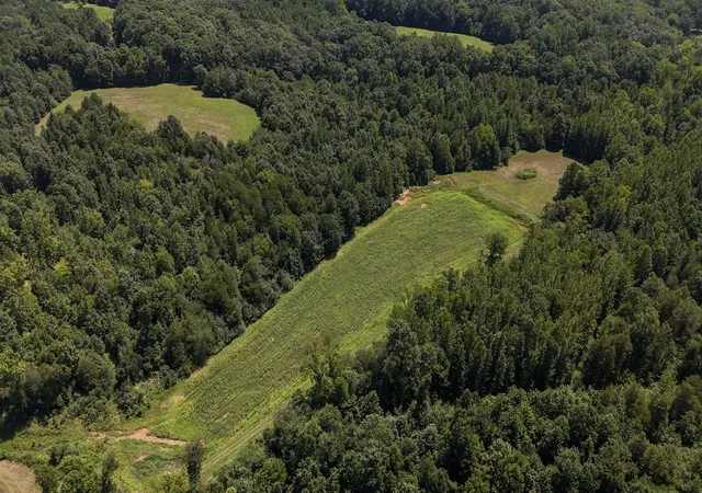 1st image of 0 Hwy 69s, Paris, TN 38242 | MLS# 3347199
