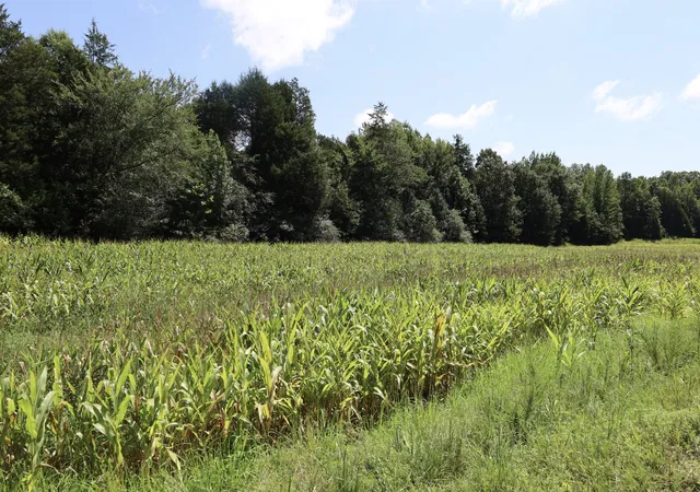 Photo 2 of Land for sale at 0 Hwy 69s, Paris, TN 38242 | MLS# 3347199 | Listing updated on 2026-09-21