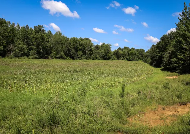 4th image of 0 Hwy 69S, Paris, TN 38242 | MLS# 3347199