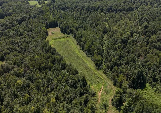 43rd image of 0 Hwy 69s, Paris, TN 38242 | MLS# 3347199