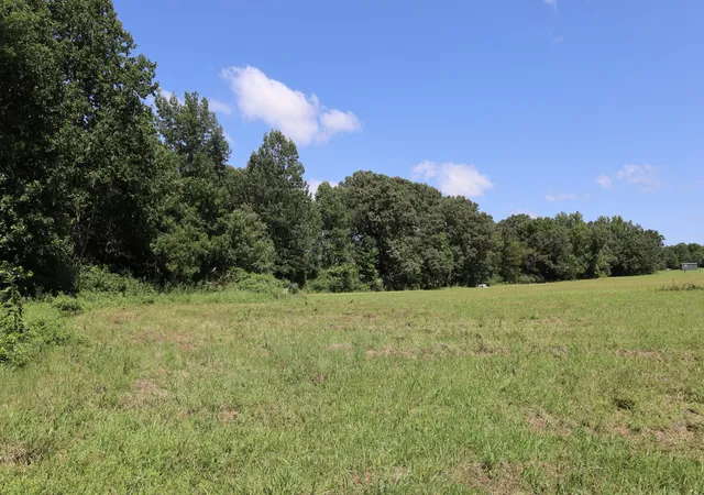 5th image of 0 Hwy 69S, Paris, TN 38242 | MLS# 3347199