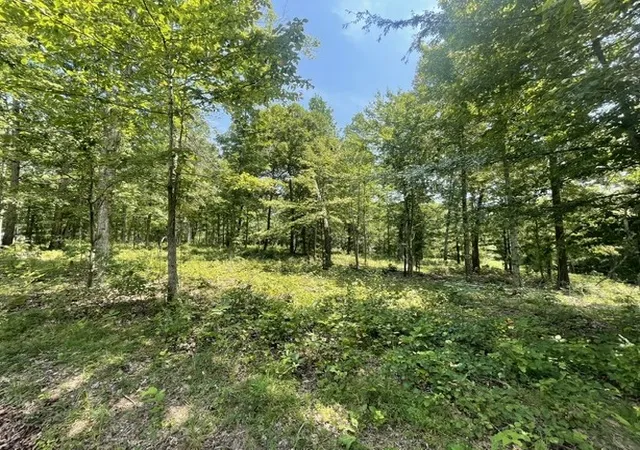 Photo 1 of Land for sale at 0 Hillcrest Rd, Waverly, TN 37185 | MLS# 3499770 | Listing updated on 2026-08-07