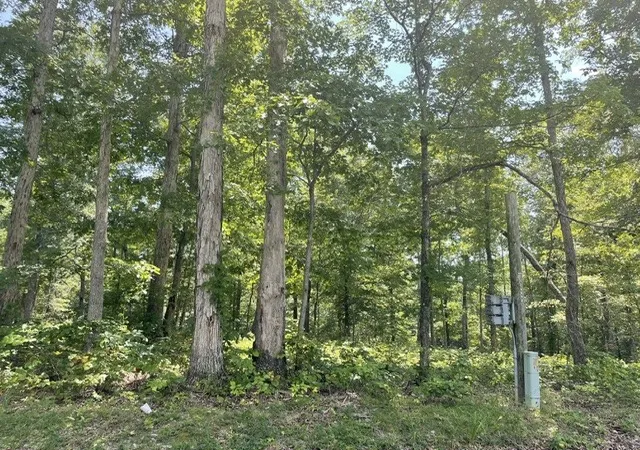 Photo 2 of Land for sale at 0 Hillcrest Rd, Waverly, TN 37185 | MLS# 3499770 | Listing updated on 2026-08-07