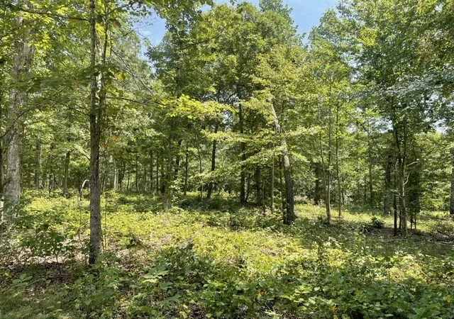 Photo 3 of Land for sale at 0 Hillcrest Rd, Waverly, TN 37185 | MLS# 3499770 | Listing updated on 2026-08-07