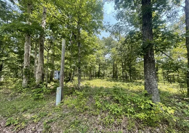 Photo 3 of Land for sale at 0 Hillcrest Rd, Waverly, TN 37185 | MLS# 3499770 | Listing updated on 2026-08-07