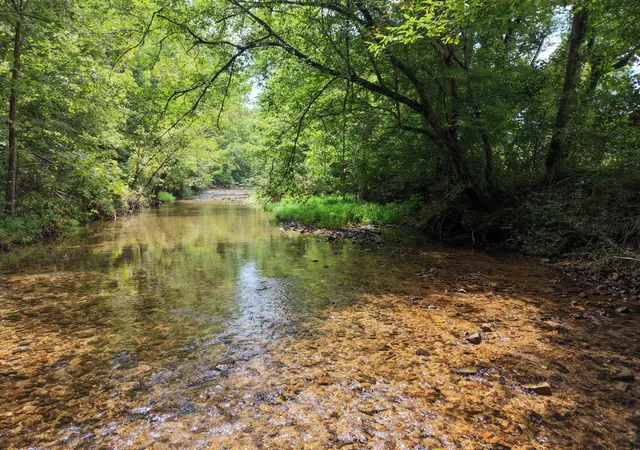 Land for sale at 0 Old Beech Crk Rd, Waynesboro, TN 38485 | MLS# 3501314
