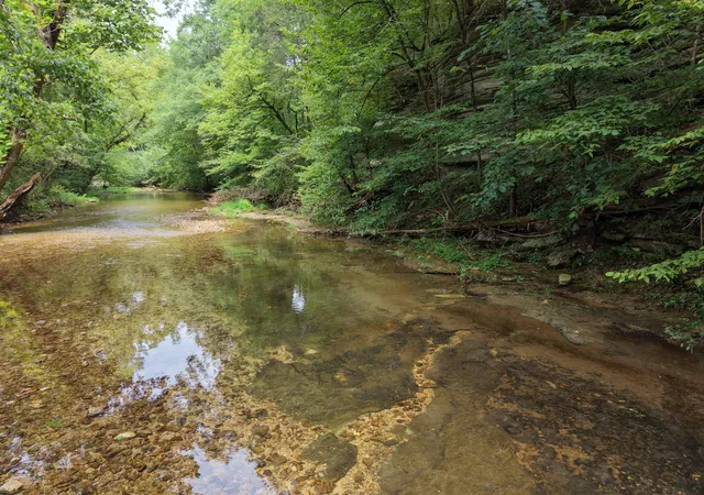 Photo 4 of Land for sale at 0 Old Beech Crk Rd, Waynesboro, TN 38485 | MLS# 3501314 | Listing updated on 2026-10-06