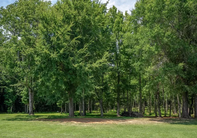 64th image of 2097 Shellsford Rd, Mc Minnville, TN 37110 | MLS# 3499730