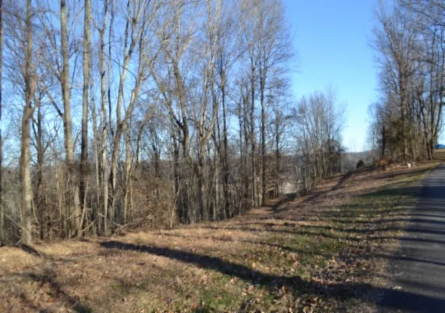 3rd image of 0 Cabin Hill Rd, Celina, TN 38551 | MLS# 3499613