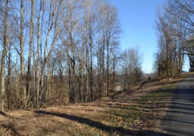 4th image of 0 Cabin Hill Rd, Celina, TN 38551 | MLS# 3499613