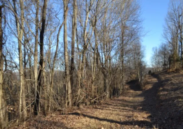 5th image of 0 Cabin Hill Rd, Celina, TN 38551 | MLS# 3499613
