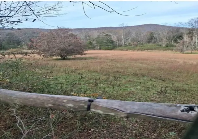 4th image of 0 Hills Creek Rd, Mc Minnville, TN 37110 | MLS# 3502026