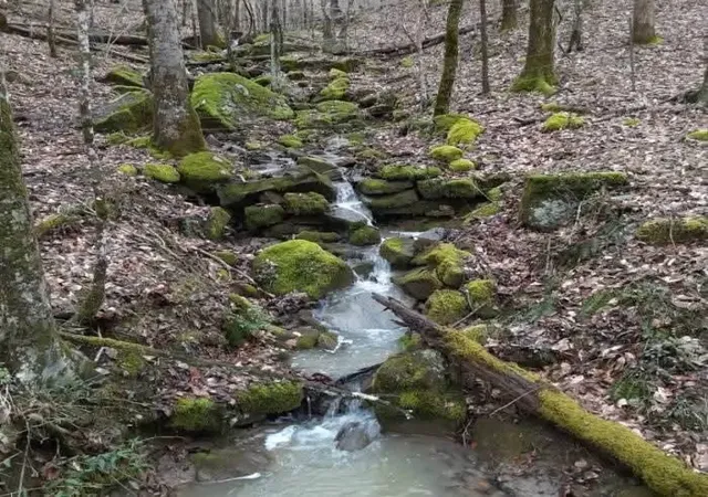 5th image of 0 Hills Creek Rd, Mc Minnville, TN 37110 | MLS# 3502026