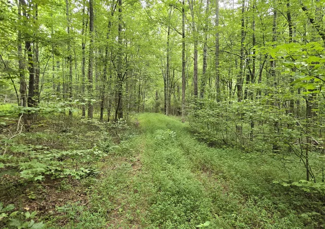 4th image of 0 Webb Road, Summertown, TN 38483 | MLS# 3502106
