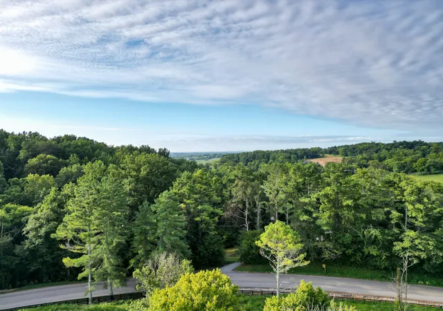 22nd image of 2044 Darks Mill Rd, Columbia, TN 38401 | MLS# 3499637