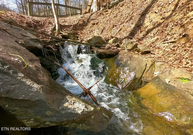 3rd image of 1110 Ski Mtn Rd, Gatlinburg, TN 37738 | MLS# 3499600