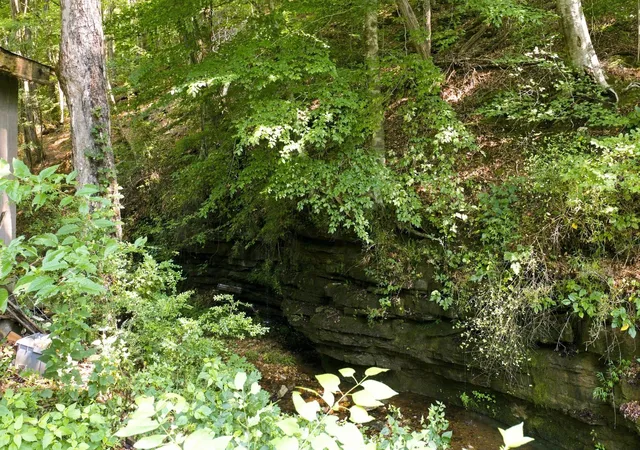 1st image of 2024 Powdermill Hill Rd, Lawrenceburg, TN 38464 | MLS# 3499773