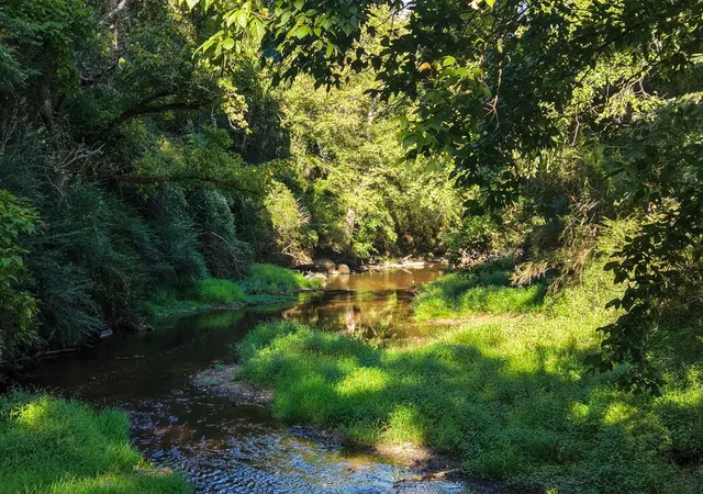5th image of 0 Wallace Thompson Road, Lewisburg, TN 37091 | MLS# 3510381