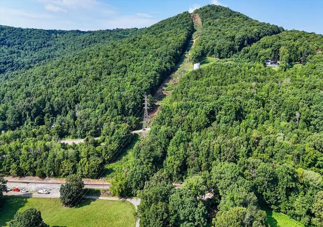 25th image of 0 Tennessee Hwy 156, Guild, TN 37340 | MLS# 3499806