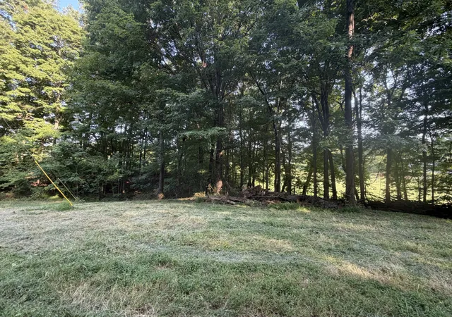 Photo 3 of Land for sale at 0 Cedar Crk Rd, Vanleer, TN 37181 | MLS# 3500869 | Listing updated on 2026-08-29