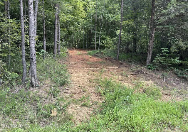 1st image of 130 Tellico Camp Rd, Madisonville, TN 37354 | MLS# 3500885