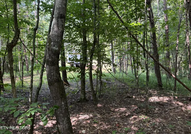 15th image of 130 Tellico Camp Rd, Madisonville, TN 37354 | MLS# 3500885