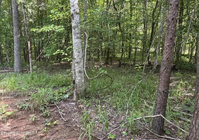 4th image of 130 Tellico Camp Rd, Madisonville, TN 37354 | MLS# 3500885