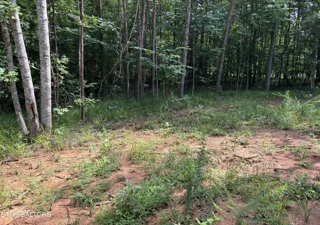5th image of 130 Tellico Camp Rd, Madisonville, TN 37354 | MLS# 3500885