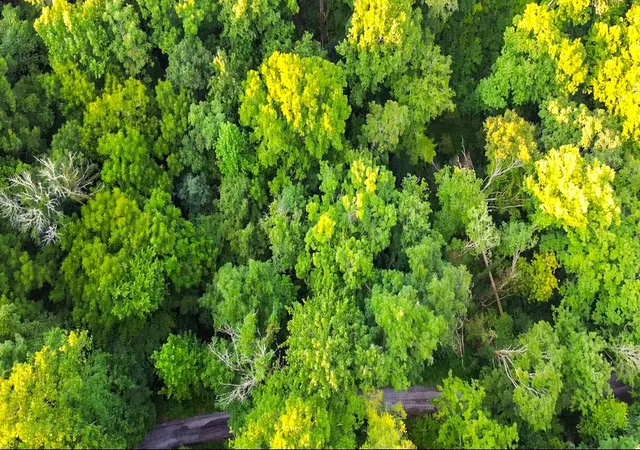 Photo 1 of Land for sale at 0 Holiday Hvn Rd, Smithville, TN 37166 | MLS# 3500895 | Listing updated on 2026-08-08