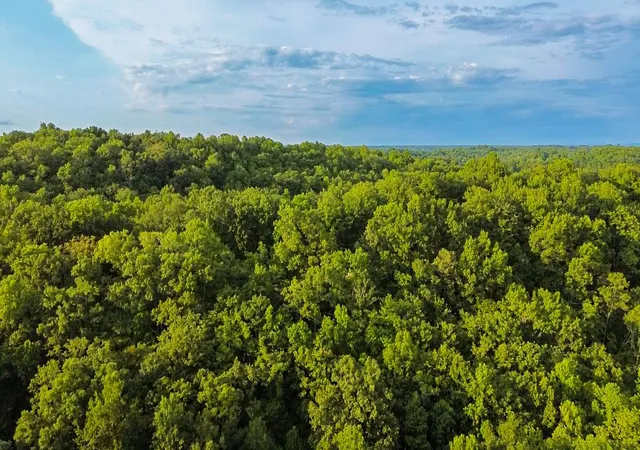 Photo 2 of Land for sale at 0 Holiday Hvn Rd, Smithville, TN 37166 | MLS# 3500895 | Listing updated on 2026-08-08