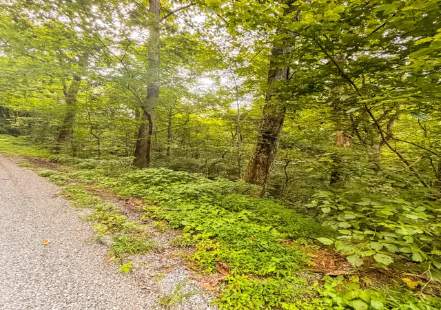 Photo 5 of Land for sale at 0 Holiday Hvn Rd, Smithville, TN 37166 | MLS# 3500895 | Listing updated on 2026-08-08