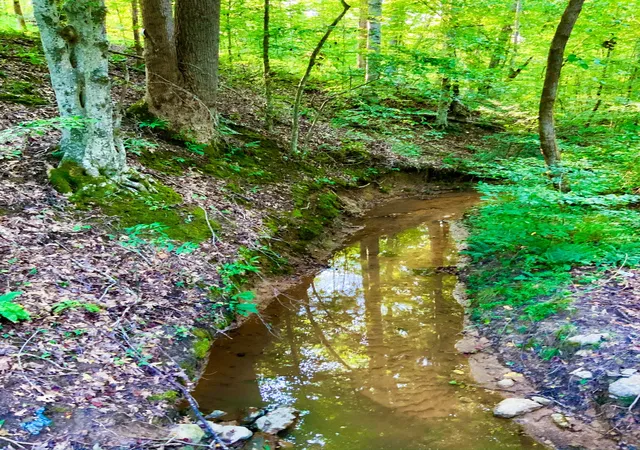 Photo 3 of Land for sale at 0 Copper Springs Rd, Springville, TN 38256 | MLS# 3501034 | Listing updated on 2026-08-23