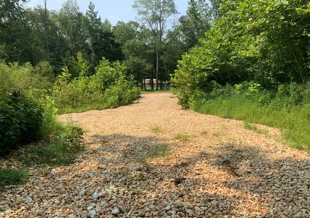 Photo 3 of Land for sale at 0 Copper Springs Rd, Springville, TN 38256 | MLS# 3501034 | Listing updated on 2026-08-23
