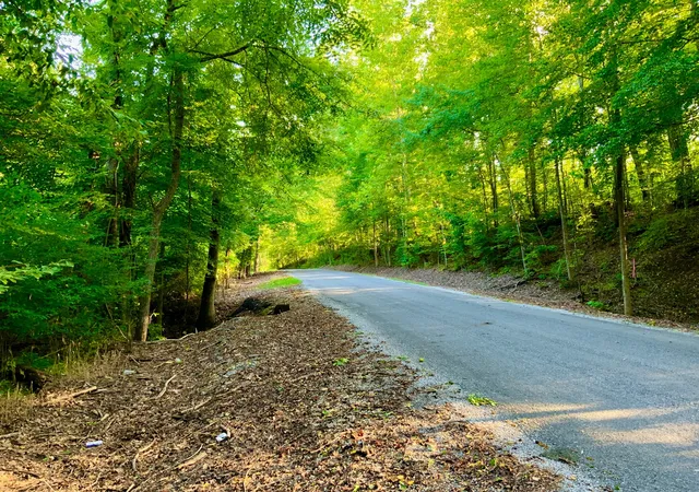 Photo 4 of Land for sale at 0 Copper Springs Rd, Springville, TN 38256 | MLS# 3501034 | Listing updated on 2026-08-23