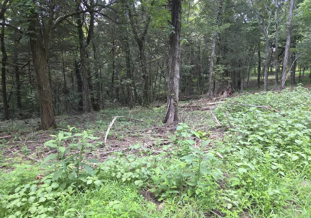 24th image of 35 Reba Ln, Fayetteville, TN 37334 | MLS# 3509976