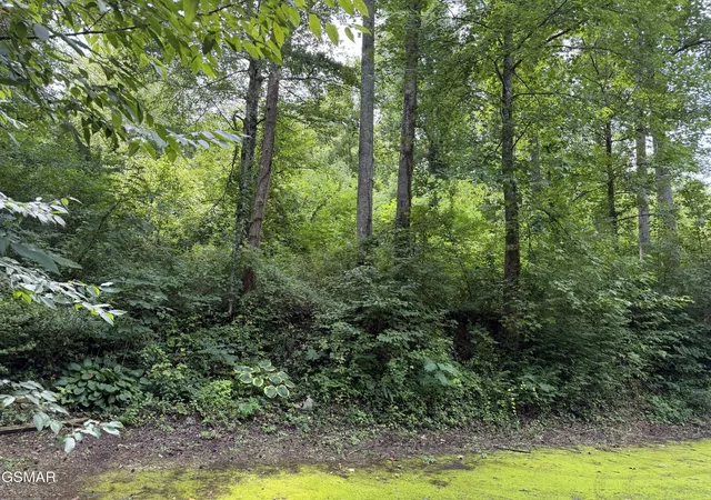 1st image of 315 Hilltop Road, Gatlinburg, TN 37738 | MLS# 3500954