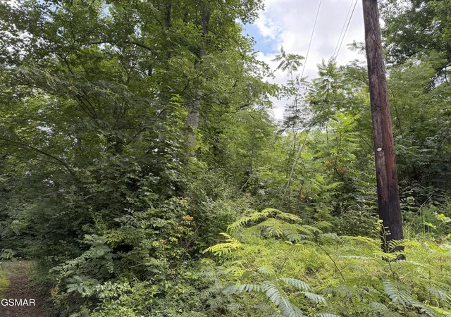 2nd image of 315 Hilltop Road, Gatlinburg, TN 37738 | MLS# 3500954