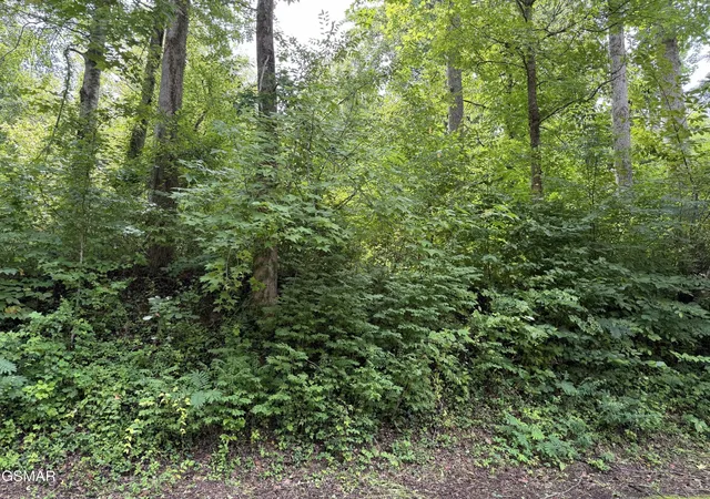 3rd image of 315 Hilltop Road, Gatlinburg, TN 37738 | MLS# 3500954