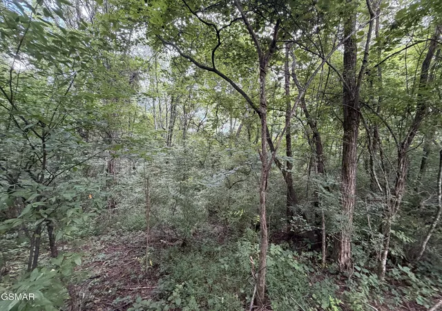 2nd image of 16 Sunrise Boulevard, Kodak, TN 37764 | MLS# 3501014
