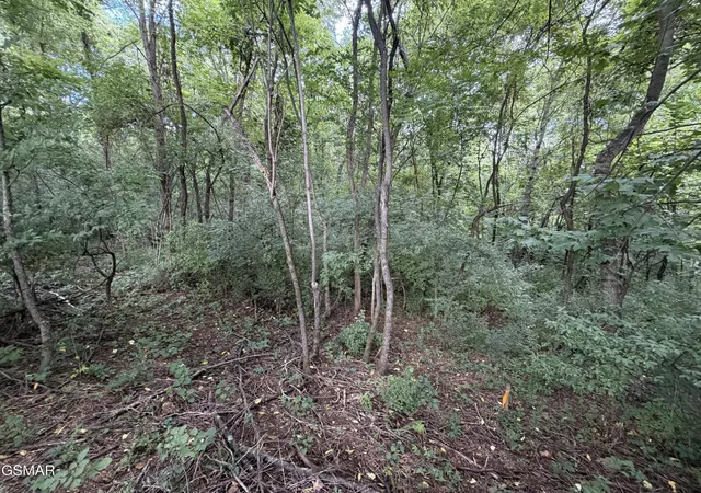 3rd image of 16 Sunrise Boulevard, Kodak, TN 37764 | MLS# 3501014
