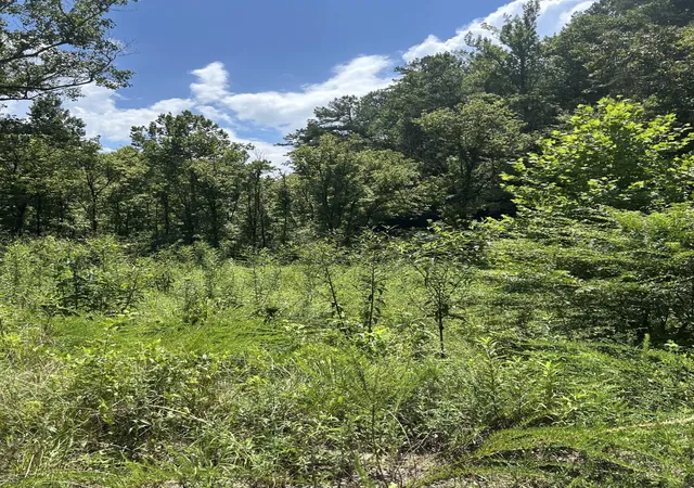 Photo 4 of Sale Pending at 1182 Tellico Reliance Rd, Reliance, TN 37369 | MLS# 3501045 | Listing updated on 2026-10-09