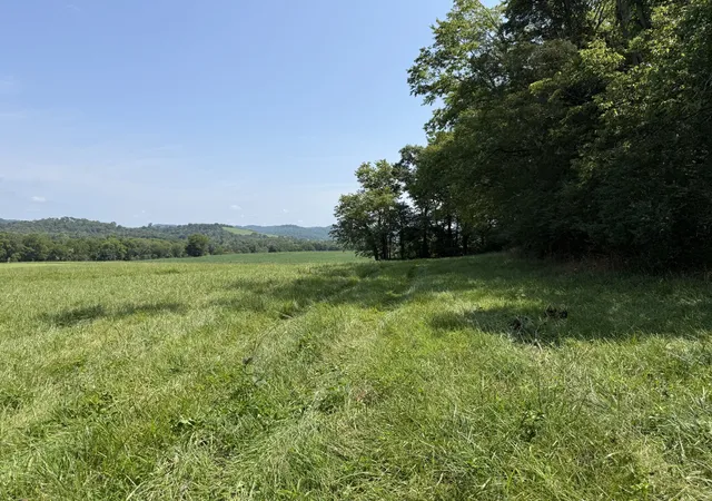 Photo 4 of Land for sale at 0 Duncan Rd, Hartsville, TN 37074 | MLS# 3508078 | Listing updated on 2026-08-11