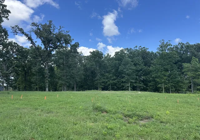 Photo 3 of Single family home for sale at 7307 Lake Rd, Fairview, TN 37062 | MLS# 3612378 | Listing updated on 2026-10-06