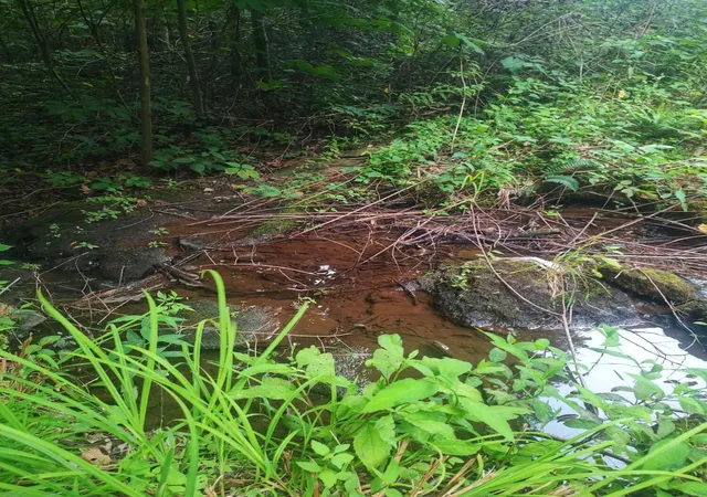 Photo 3 of Land for sale at 185 Raccoon Ridge, Spring City, TN 37381 | MLS# 3501227 | Listing updated on 2026-09-13