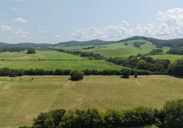 15th image of 2865 Mccanless Rd, Nolensville, TN 37135 | MLS# 3510351