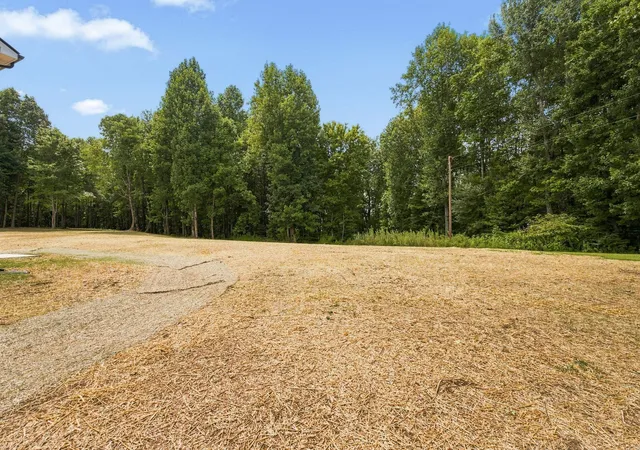 26th image of 2913 Ferrells Branch Rd, Beechgrove, TN 37018 | MLS# 3506181