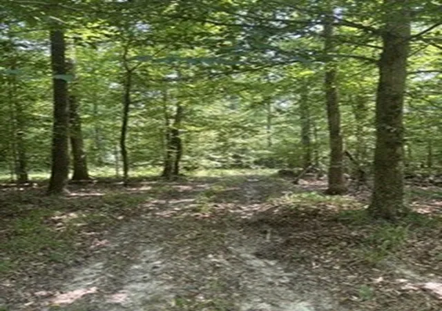 1st image of 0 Old Union Church Road, Holladay, TN 38341 | MLS# 3505845