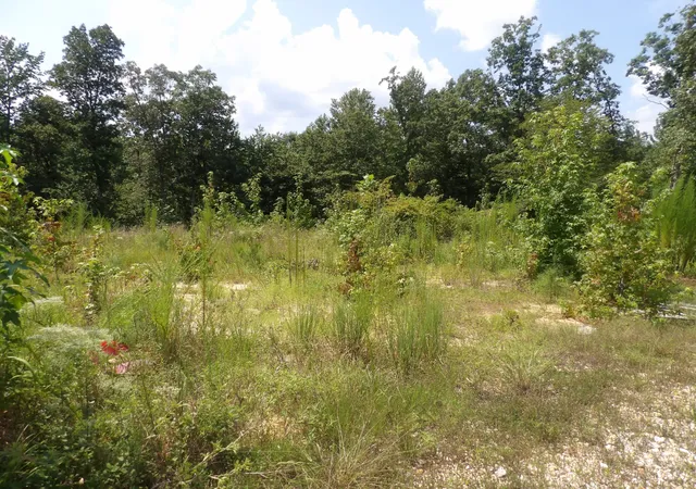 2nd image of 0 Old Union Church Road, Holladay, TN 38341 | MLS# 3505845